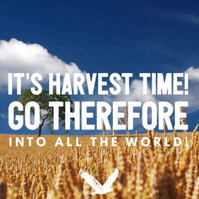 Harvest_Time