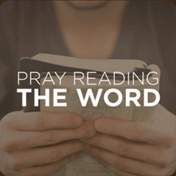 Pray_Reading_the_Word_250