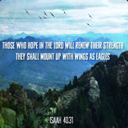 Those-Who-Hope-int-the-lord-250