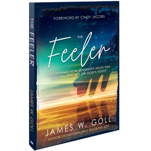 The Feeler (softcover book)