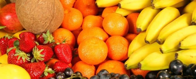 5783: A Year of Fruitfulness