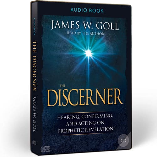 The Discerner Audiobook