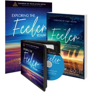 Exploring the Feeler Realm Curriculum Kit
