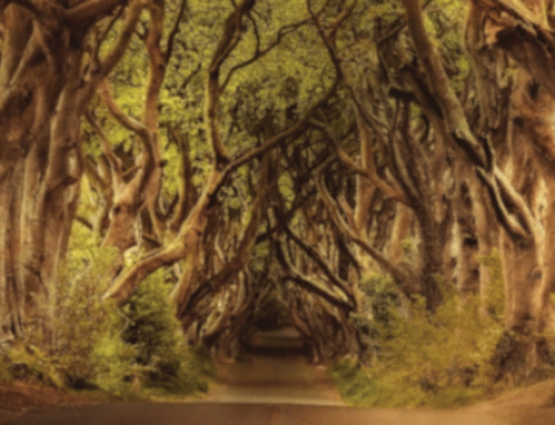 Why You Need Spiritual Discernment in This Hour