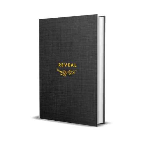 Reveal Journal - 3D -500_500