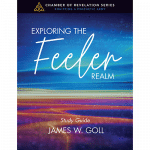 Exploring the Feeler Realm