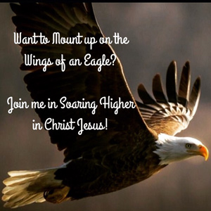 Soar