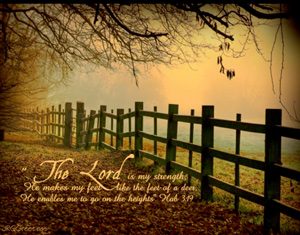 The Lord is my strength