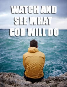 Watch and See