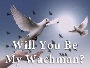 Watchman