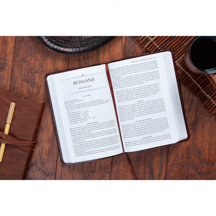 TPT Bible Romans