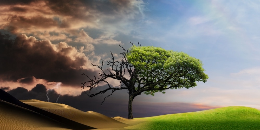 Word of the Lord 2023 (ACPE): Blessings and Turmoil