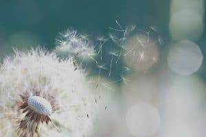 Born of the Spirit