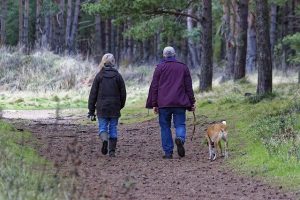 Walking Together