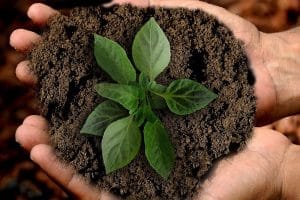 Good Soil
