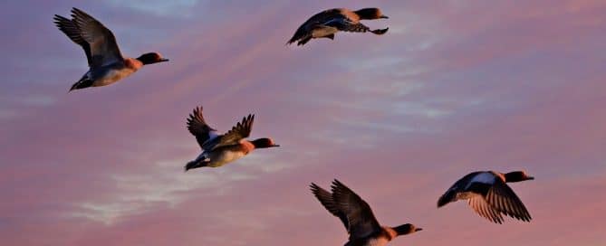 5 Prophetic Insights for 2022