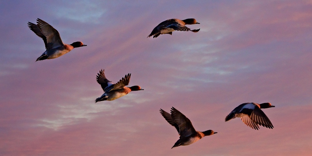 5 Prophetic Insights for 2022