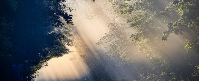 discern the atmosphere of heaven