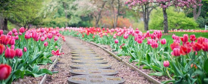 Garden Path
