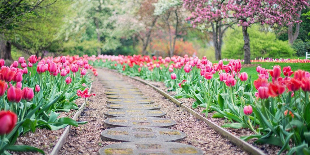 Garden Path