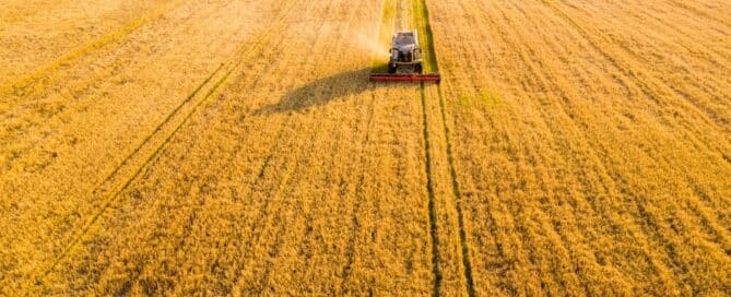 Great Harvest