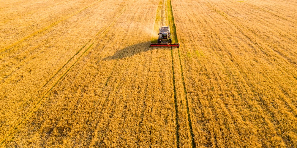 Great Harvest