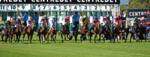 Horse Race