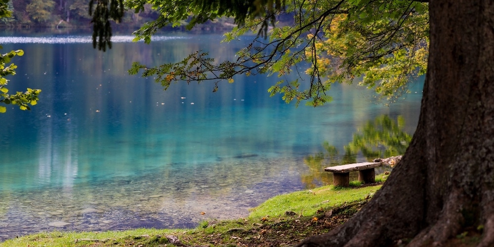 How to Find the Secret Place
