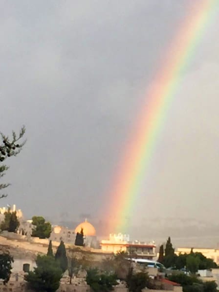 Rain Bow