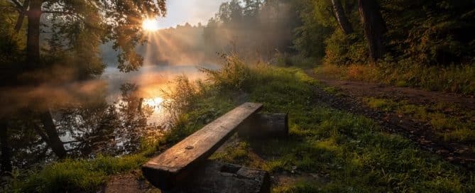 Soak in His Presence
