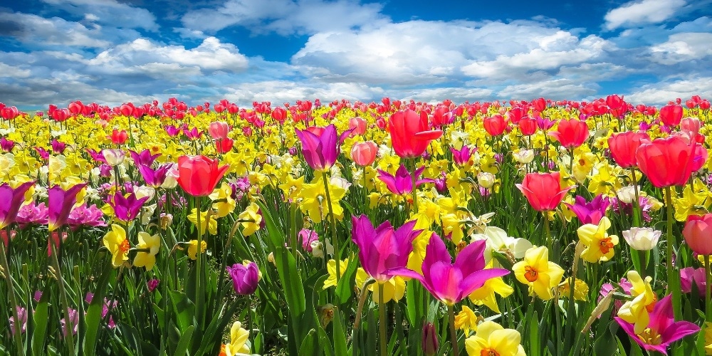 Transition with Hope Brings Transformation