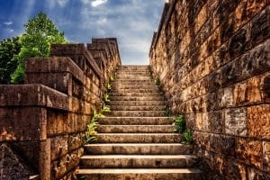 Steps of Transition