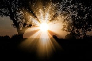 brings light into darkness