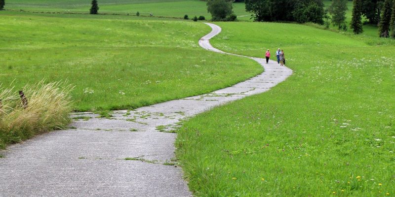 trail-1000